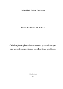 Otimização do Plano de Tratamento por Radioterapia em Paciente