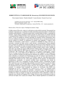 Sobrevivência e viabilidade de Alternaria sp. em sementes