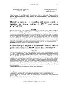 Phenotypic response of pumpkin and melon plants to infection by