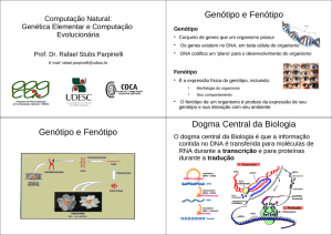 Genótipo e Fenótipo Genótipo e Fenótipo Dogma Central da Biologia