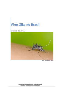 Vírus Zika no Brasil