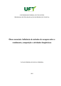 Óleos essenciais: Influência de métodos de secagem sobre o