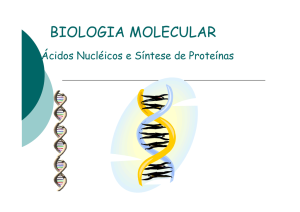 Ácidos Nucléicos e Síntese de Proteínas