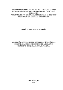 Patricia Figueiredo Correa dissertação PPGCA pdf