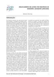 deslocamento em altura por indivíduos de monstera adansonii