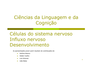 Ciências da Linguagem e da Cognição Células do sistema nervoso