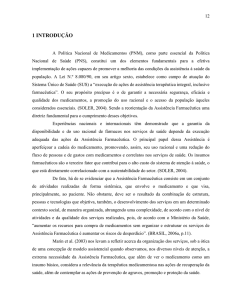 Análise da Organização e Estruturação da Assistência