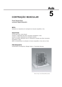 contração muscular