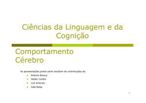 C&eacute;rebro - Moodle