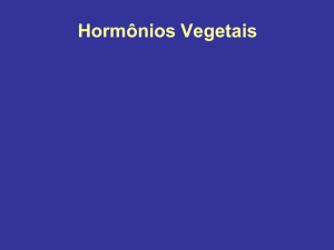 Hormônios Vegetais
