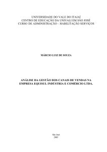 Análise da gestão dos canais de vendas da empresa Equisul