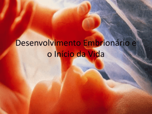 Desenvolvimento Embrionário e o Início da Vida - Casa Pró-Vida
