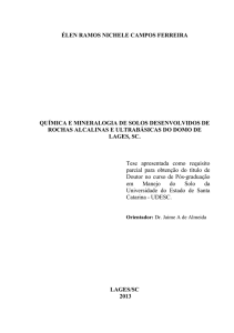 Química e Mineralogia de solos desenvolvidos de rochas