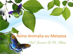 Reino Animalia ou Metazoa