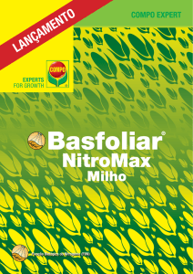 Folheto Basfoliar NitroMax Milho
