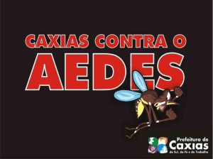 Apresentação Base - Prefeitura de Caxias do Sul