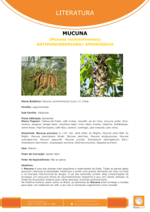 Mucuna - Pharma Nostra