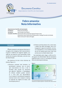 Febre Amarela – SBP - Sociedade Brasileira de Pediatria