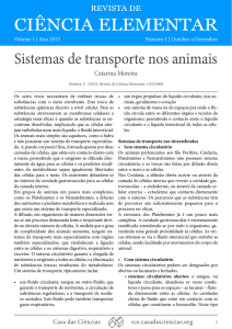 Sistemas de transporte nos animais