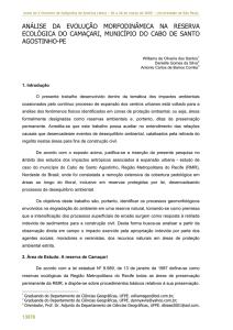 análise da evolução morfodinâmica na reserva ecológica do