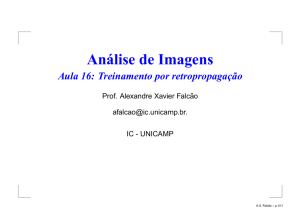 Análise de Imagens - IC