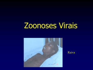 Viral Zoonosis