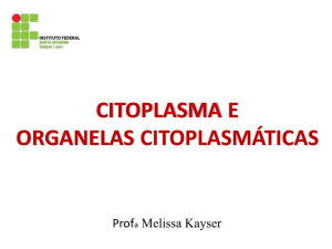 citoplasma e organelas citoplasmáticas