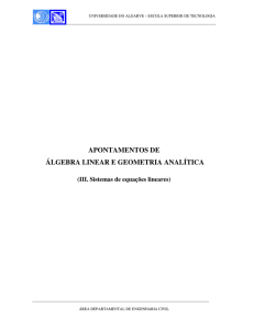 APONTAMENTOS DE ÁLGEBRA LINEAR E GEOMETRIA ANALÍTICA