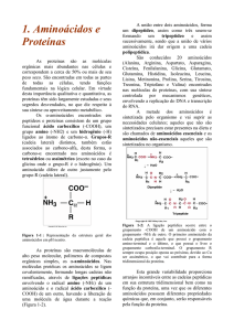 1. Aminoácidos e Proteínas