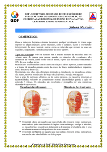 Apostila Sistema Muscular 2014