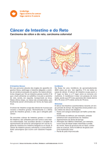 Câncer de Intestino e do Reto