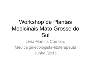 Workshop de Plantas Medicinais Mato Grosso do Sul