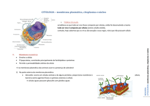 CITOLOGIA – membrana plasmática, citoplasma e núcleo