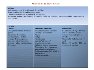 Metabolismo de Ácidos Graxos