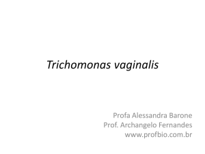 Trichomonas vaginalis - Apresentação ProfBio