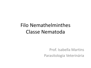 Filo Nemathelminthes Classe Nematoda