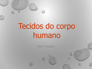 Tecidos do corpo humano