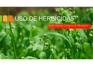 Aula 04 - Uso de Herbicidas