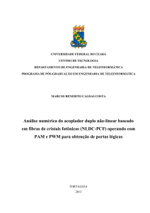 Análise numérica do acoplador duplo não