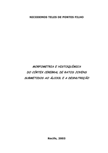 morfometria e histoqu&iacute;mica do c&oacute;rtex cerebral de ratos