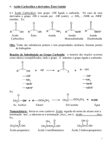 6. –Acido Carboxílico e derivados: Éster/Amida 6.1 Ácido