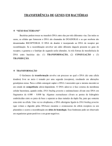 Transferência de genes em bacterias
