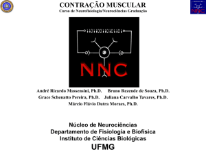 contração muscular - Núcleo de Neurociências