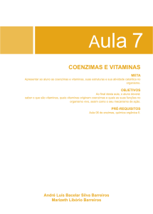 coenzimas e vitaminas