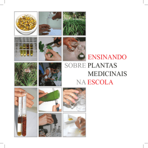 ensinando sobre plantas medicinais na escola