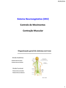 aula SNV controle do movimento e contra&ccedil;&atilde;o Arquivo