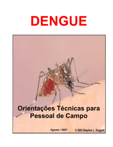 Manual de Campo Dengue.