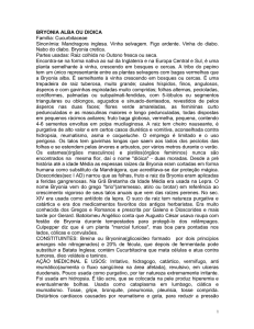 bryonia alba ou dioica - Associação Brasileira de Medicina