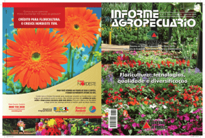 Floricultura: tecnologias, qualidade e diversificaçãohot!