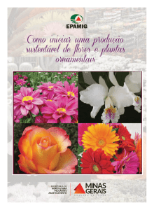 Como iniciar uma produção sustentável de flores e plantas